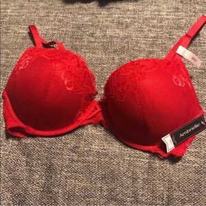 Ambrielle Red Lace Plunge Push Up Bra